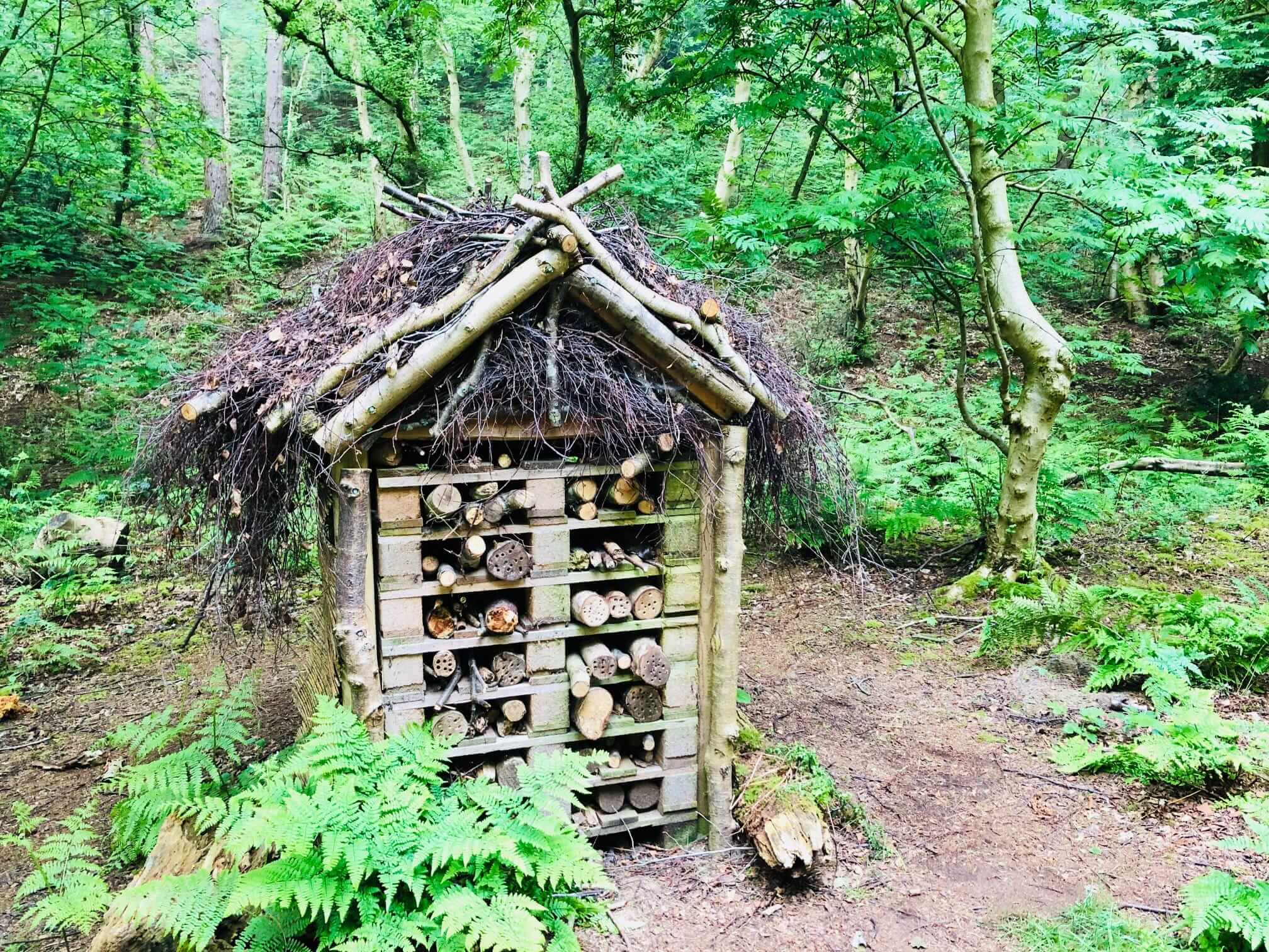 Bug hotel - natural surrounds are like Centre Parcs