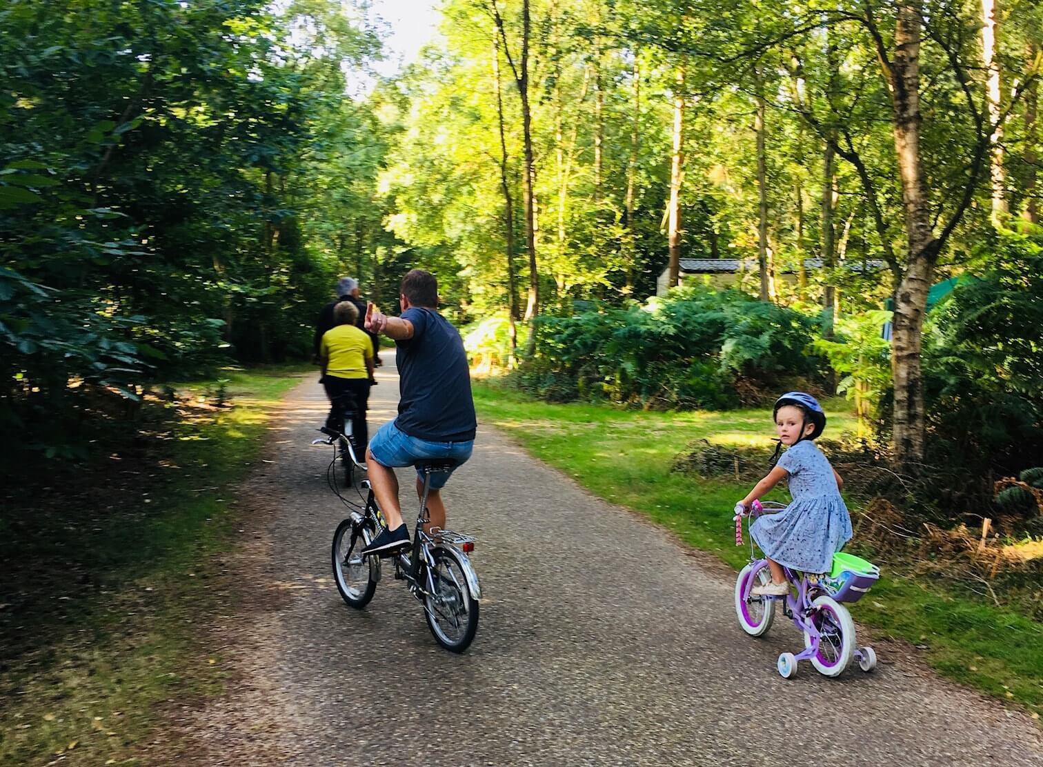 Bike trails at Kelling Heath