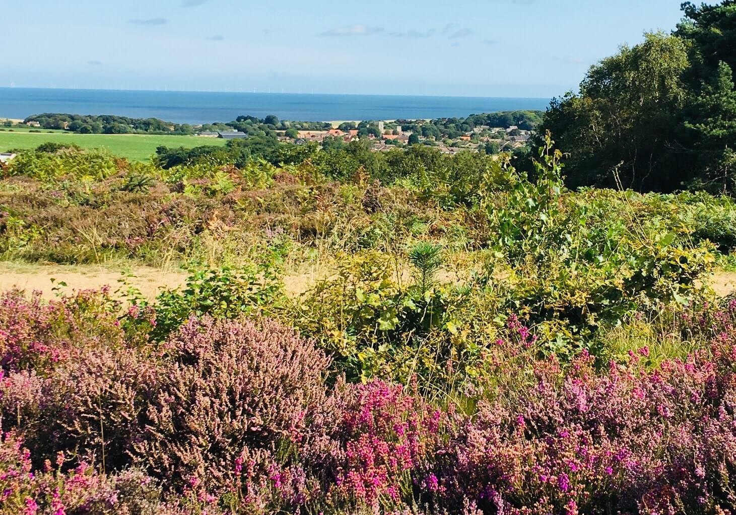 The view from Kelling Heath out to sea - a great alternative to Centre Parcs for natural surrounds and lodge holidays